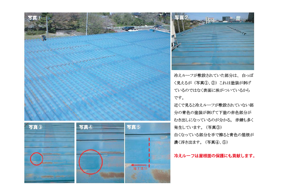 屋根を保護　写真
