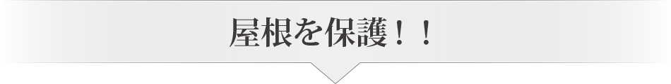 屋根を保護！！